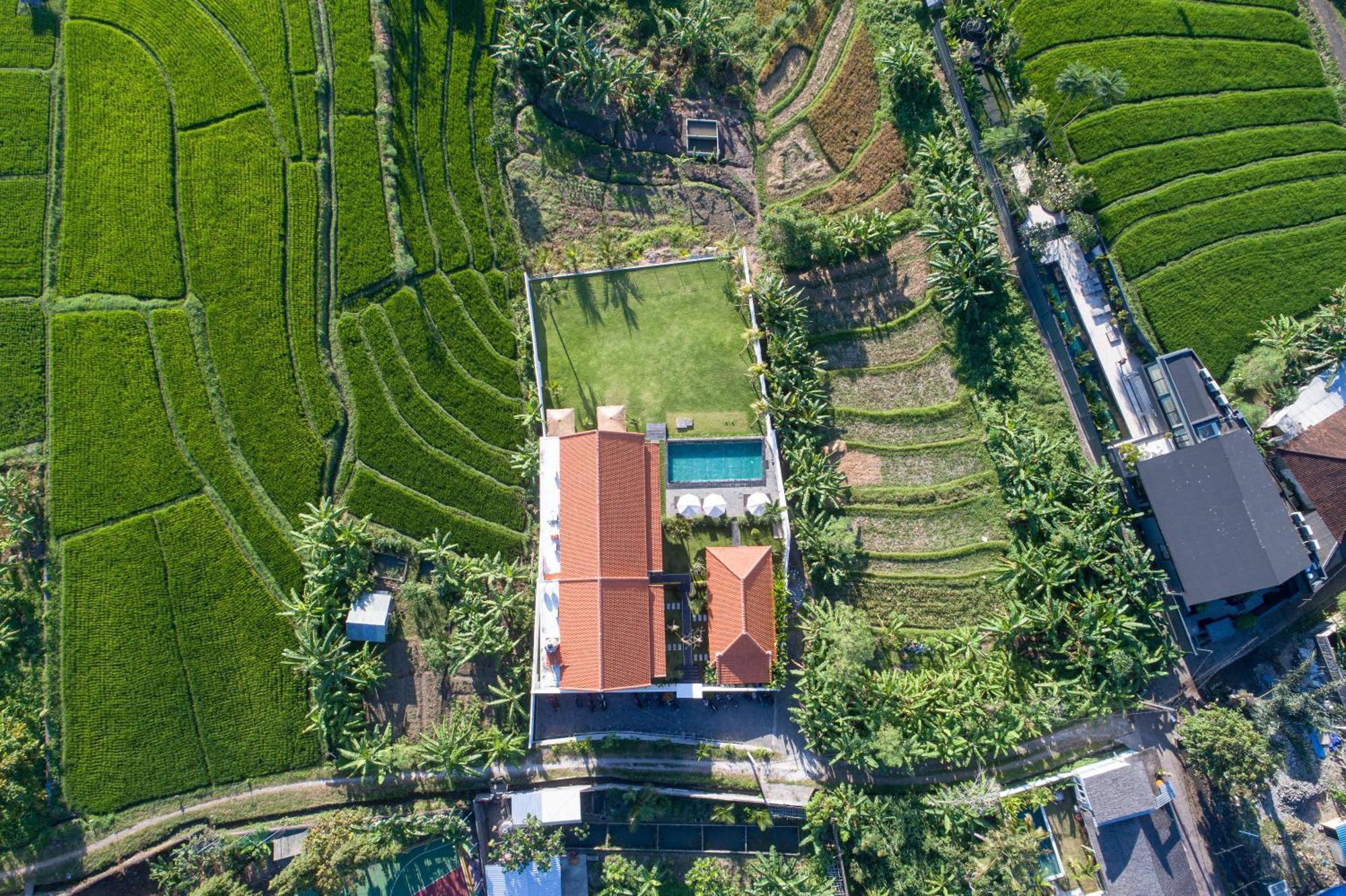 Eden Guest House Canggu Exterior photo